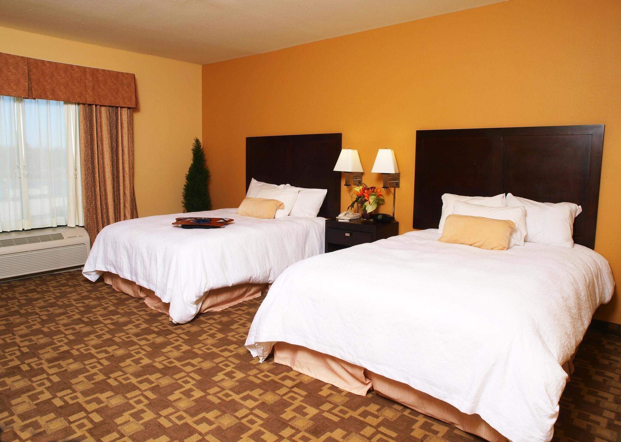 Hampton Inn & Suites-Knoxville/North I-75 Pokoj fotografie